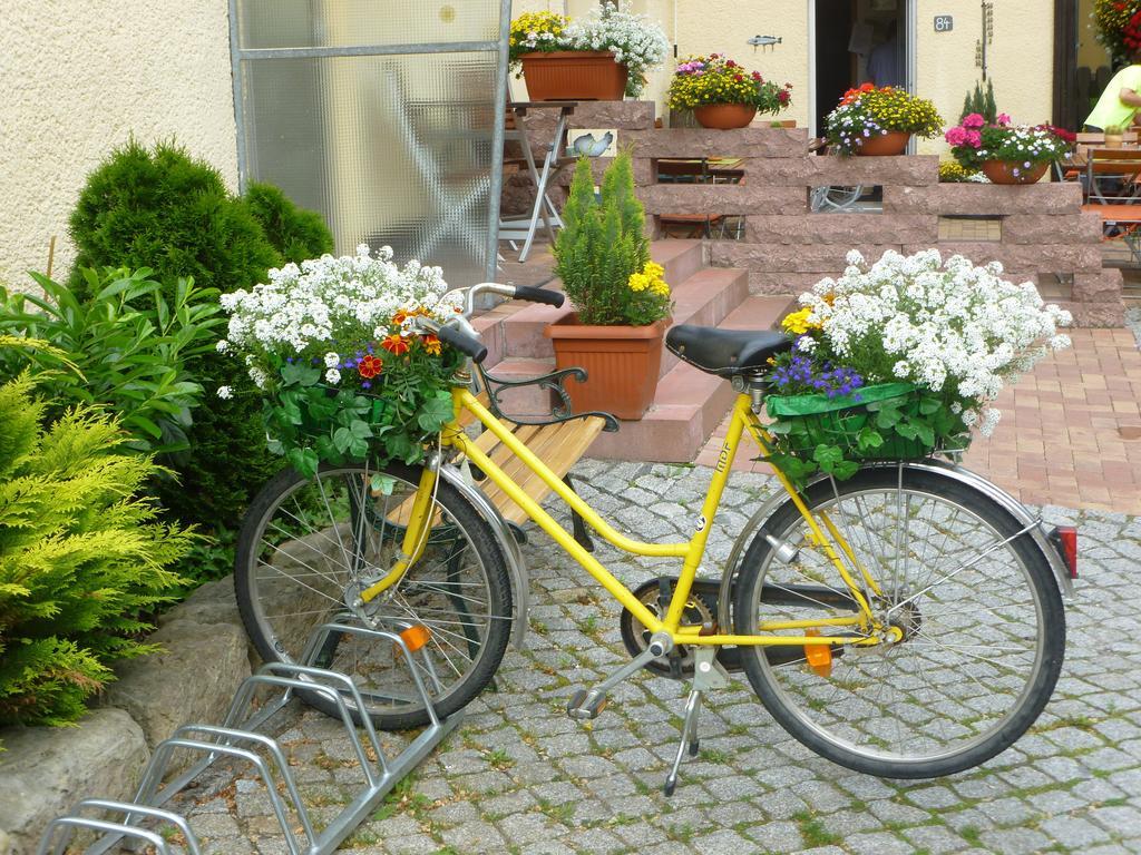 Gasthaus Forelle Thale Luaran gambar