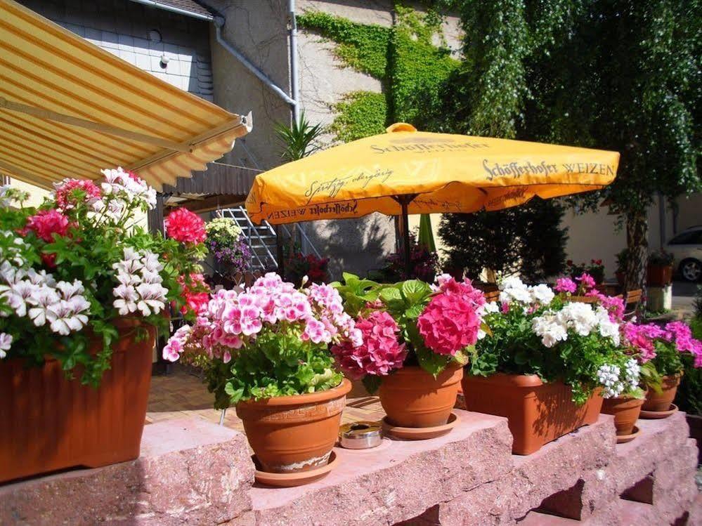 Gasthaus Forelle Thale Luaran gambar
